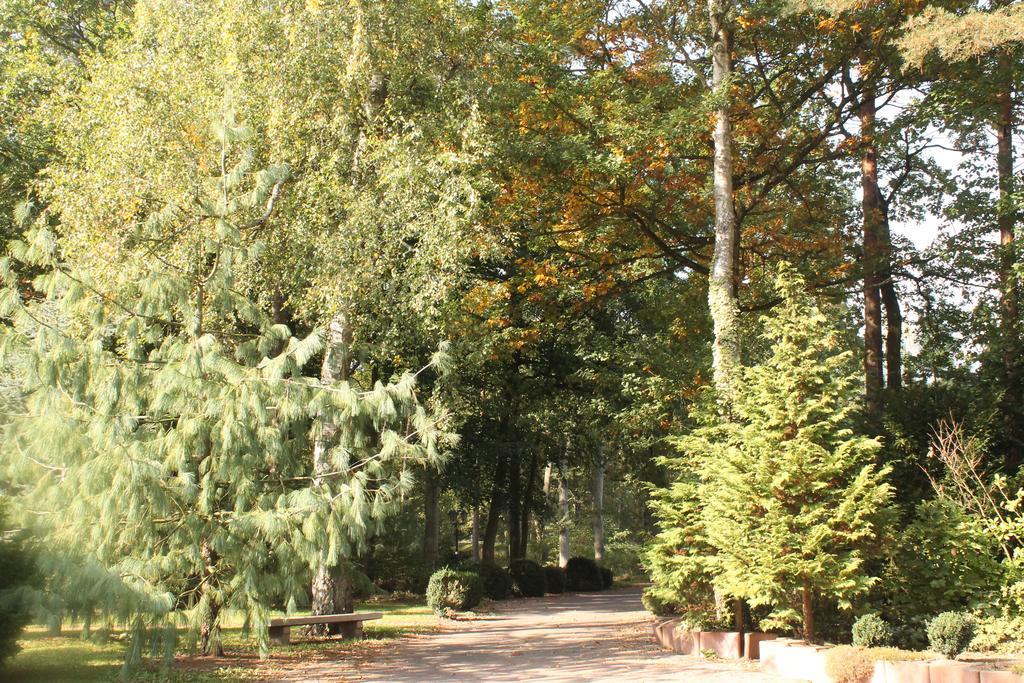 Hotel Und Restaurant Waldschloesschen Crivitz Екстериор снимка